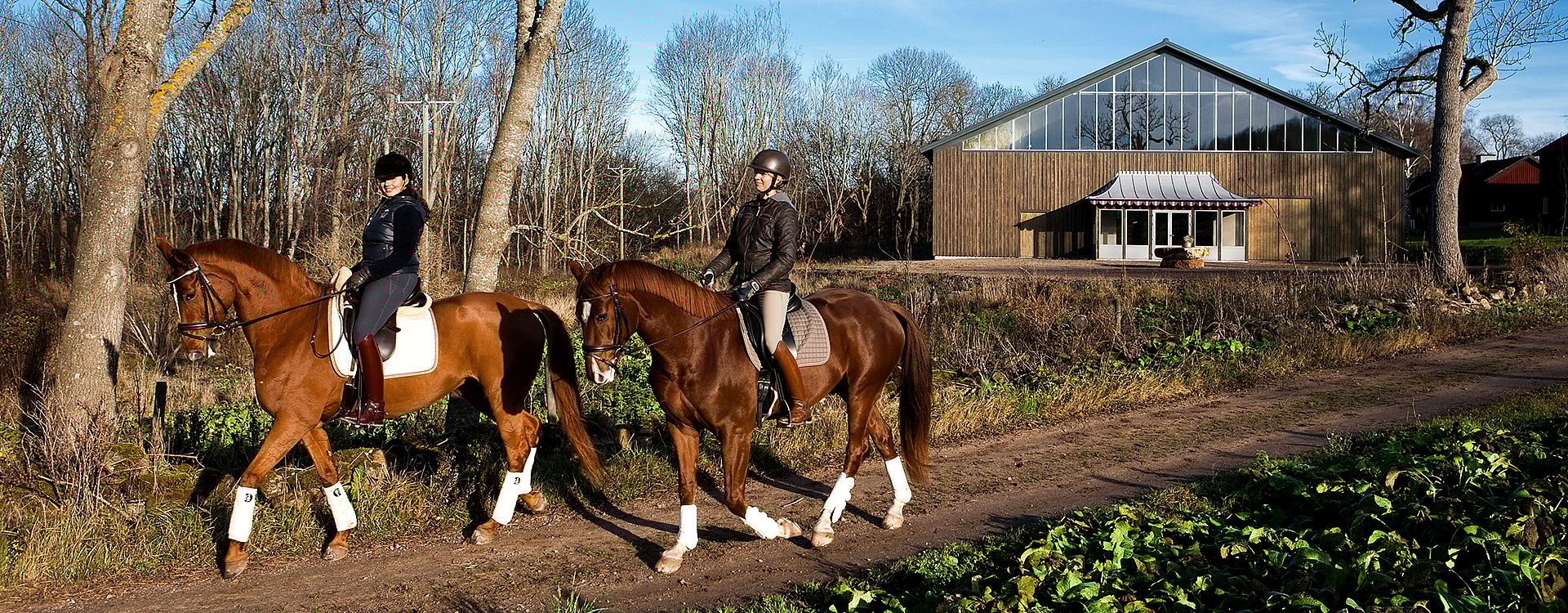 Equestrian steel buildings | BORGA