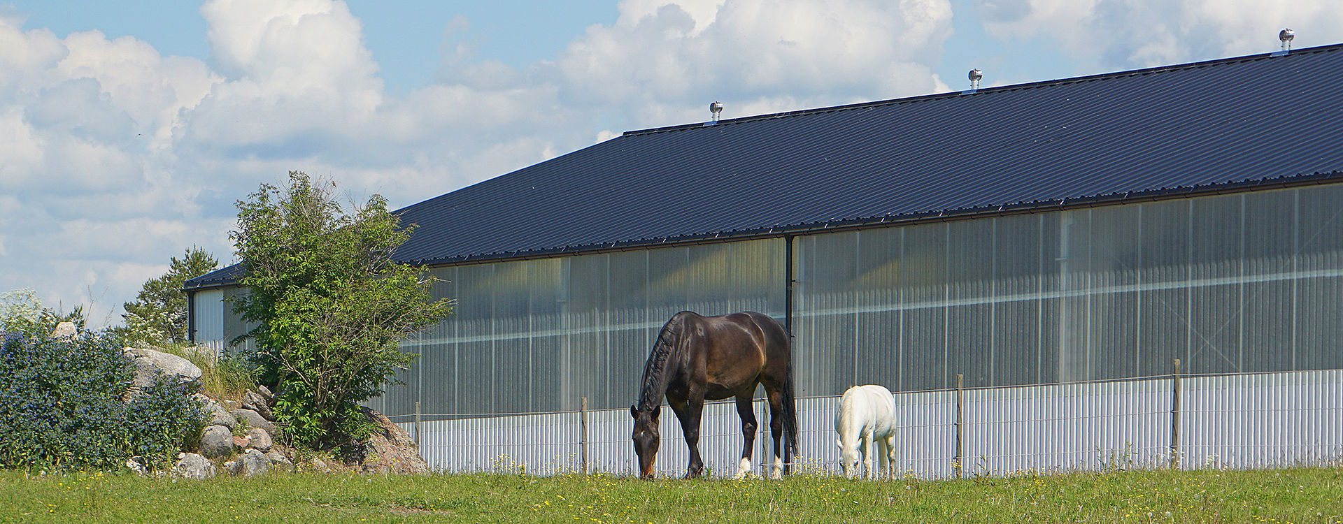 Equestrian steel buildings | BORGA