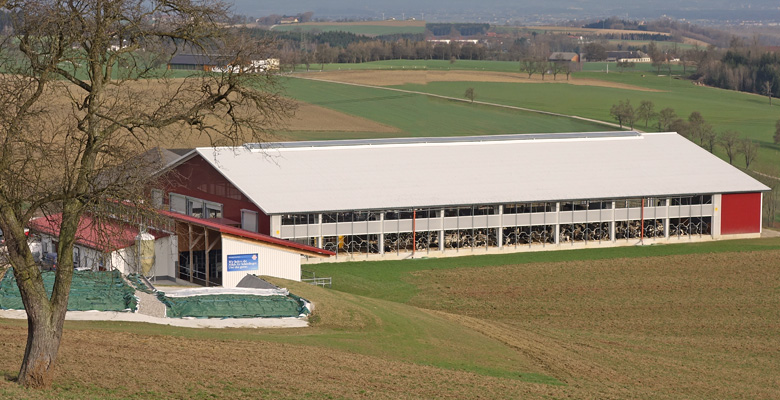 Agricultural buildings, cowsheds, machine halls made of steel | BORGA