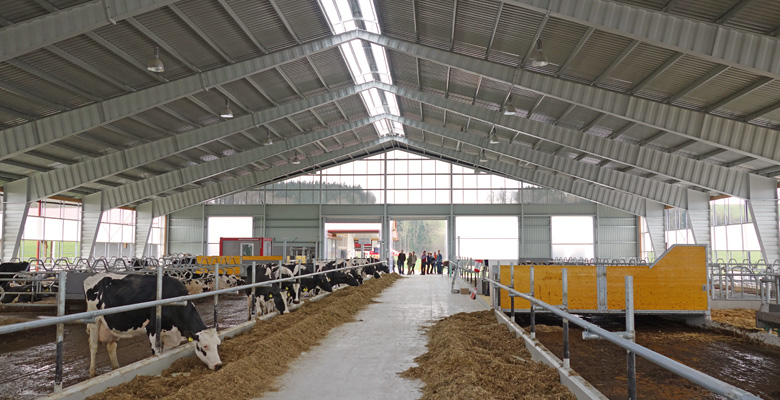 Agricultural buildings, cowsheds, machine halls made of steel | BORGA