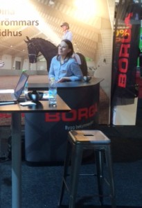 Borga SIHS 2015_2